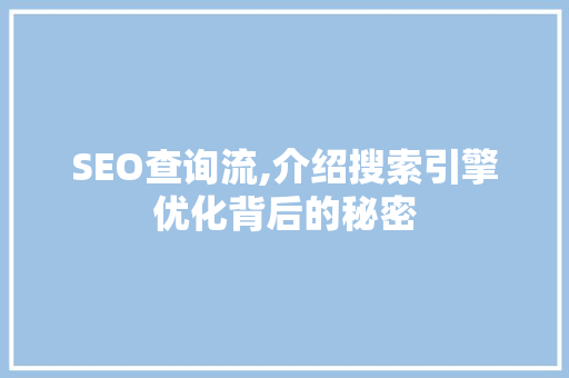 SEO查询流,介绍搜索引擎优化背后的秘密