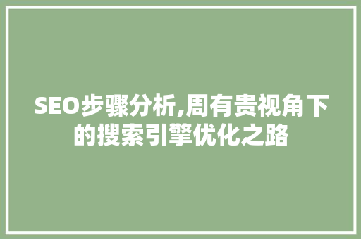 SEO步骤分析,周有贵视角下的搜索引擎优化之路