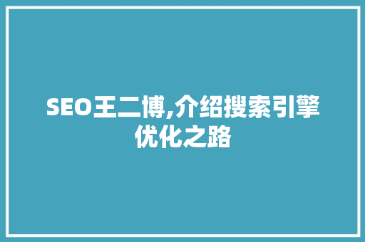 SEO王二博,介绍搜索引擎优化之路