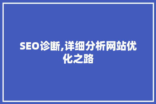 SEO诊断,详细分析网站优化之路