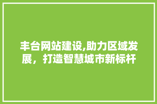 丰台网站建设,助力区域发展，打造智慧城市新标杆 360搜优化