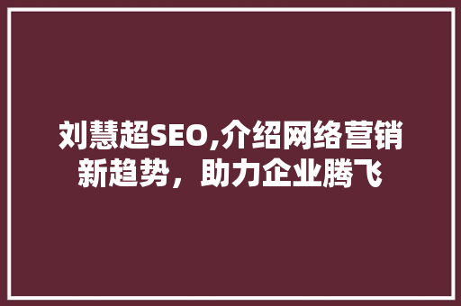 刘慧超SEO,介绍网络营销新趋势，助力企业腾飞 网站优化
