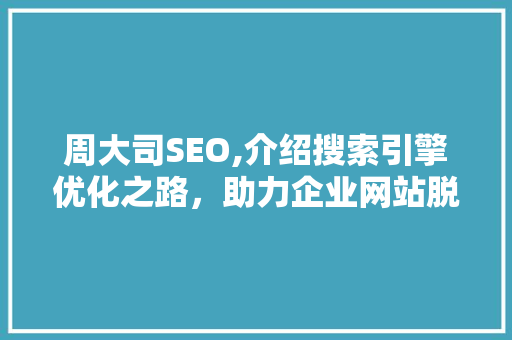 周大司SEO,介绍搜索引擎优化之路，助力企业网站脱颖而出
