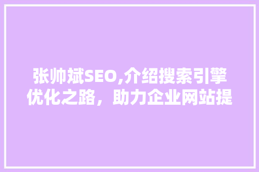 张帅斌SEO,介绍搜索引擎优化之路，助力企业网站提升排名