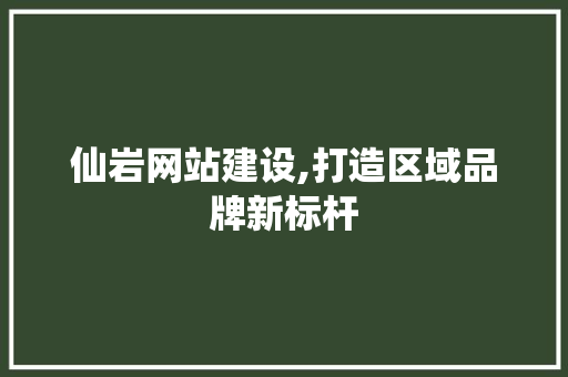 仙岩网站建设,打造区域品牌新标杆 头条优化