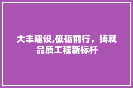 大丰建设,砥砺前行，铸就品质工程新标杆