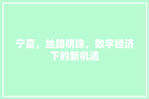 宁夏，丝路明珠，数字经济下的新机遇