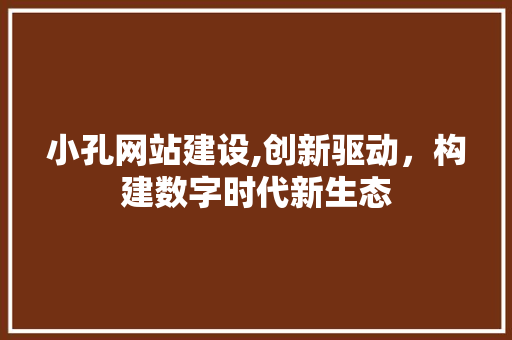 小孔网站建设,创新驱动，构建数字时代新生态 头条优化