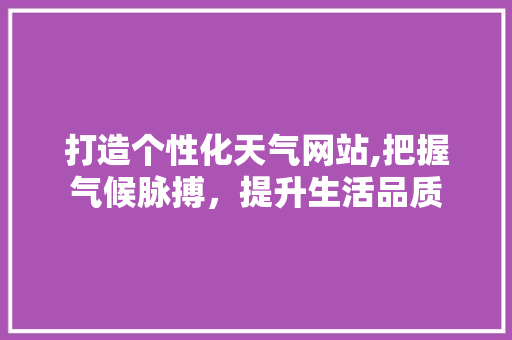 打造个性化天气网站,把握气候脉搏，提升生活品质