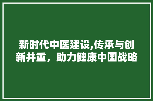 新时代中医建设,传承与创新并重，助力健康中国战略
