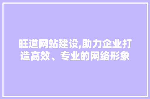 旺道网站建设,助力企业打造高效、专业的网络形象