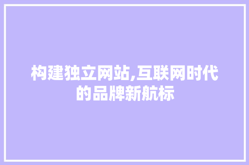 构建独立网站,互联网时代的品牌新航标