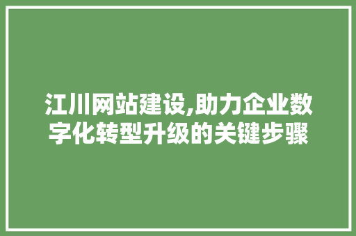 江川网站建设,助力企业数字化转型升级的关键步骤