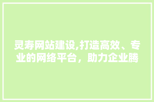 灵寿网站建设,打造高效、专业的网络平台，助力企业腾飞 网站开发