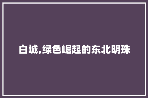 白城,绿色崛起的东北明珠