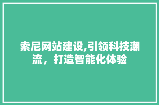 索尼网站建设,引领科技潮流，打造智能化体验