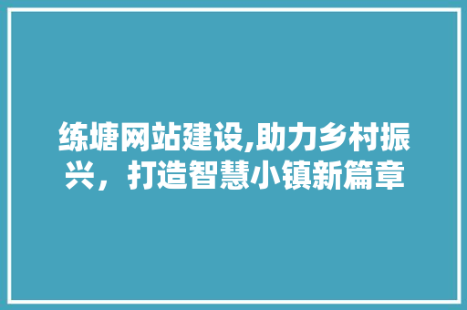 练塘网站建设,助力乡村振兴，打造智慧小镇新篇章 网站优化