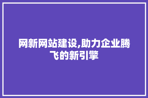 网新网站建设,助力企业腾飞的新引擎 网站优化