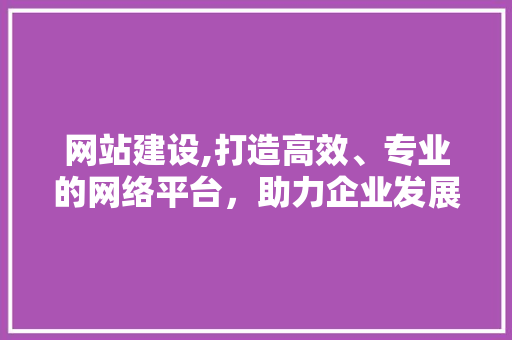 网站建设,打造高效、专业的网络平台，助力企业发展新篇章