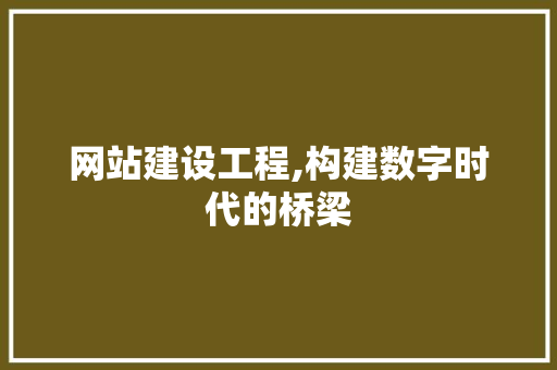 网站建设工程,构建数字时代的桥梁