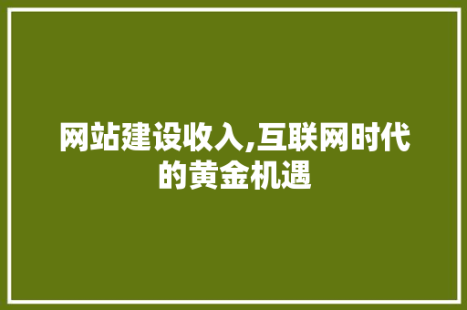 网站建设收入,互联网时代的黄金机遇 网站开发