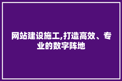 网站建设施工,打造高效、专业的数字阵地