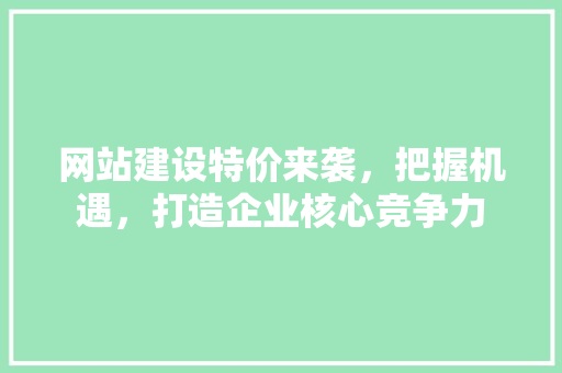 网站建设特价来袭，把握机遇，打造企业核心竞争力