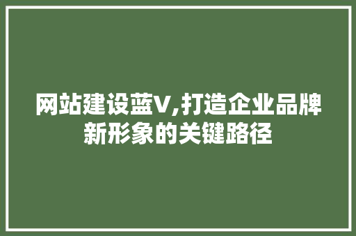 网站建设蓝V,打造企业品牌新形象的关键路径