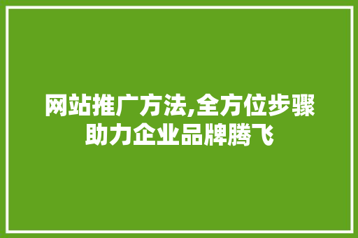 网站推广方法,全方位步骤助力企业品牌腾飞