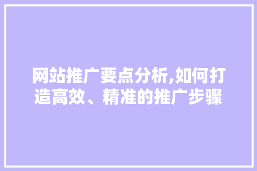 网站推广要点分析,如何打造高效、精准的推广步骤