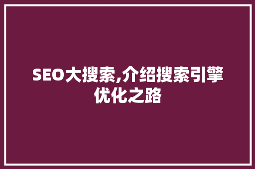 SEO大搜索,介绍搜索引擎优化之路