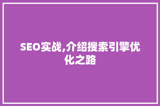 SEO实战,介绍搜索引擎优化之路