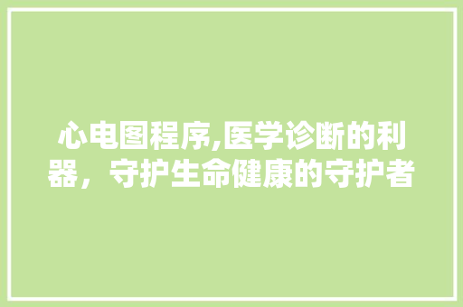 心电图程序,医学诊断的利器，守护生命健康的守护者 心电图程序,医学诊断的利器，守护生命健康的守护者 搜狗优化