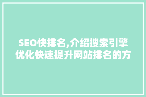 SEO快排名,介绍搜索引擎优化快速提升网站排名的方法