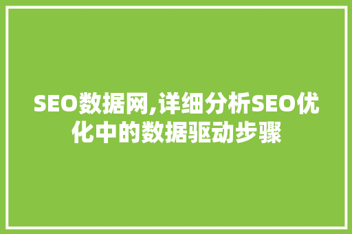 SEO数据网,详细分析SEO优化中的数据驱动步骤