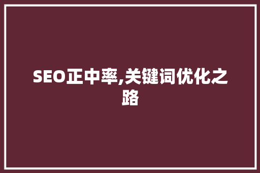 SEO正中率,关键词优化之路 seo技术
