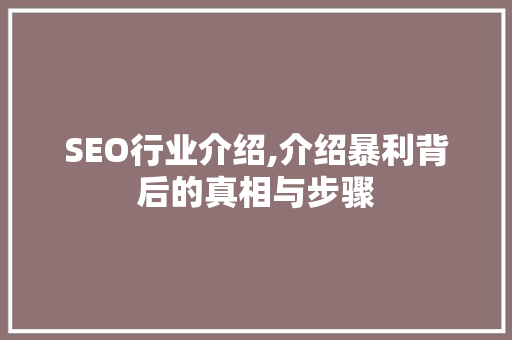 SEO行业介绍,介绍暴利背后的真相与步骤