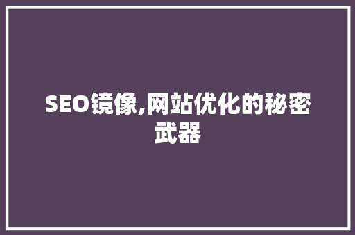 SEO镜像,网站优化的秘密武器