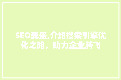 SEO龚盛,介绍搜索引擎优化之路，助力企业腾飞