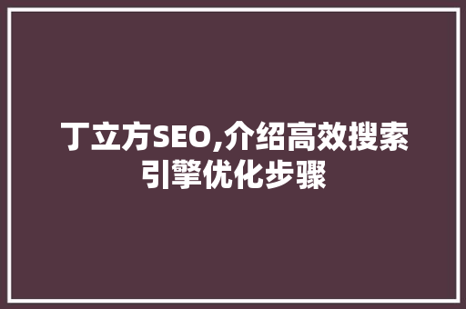 丁立方SEO,介绍高效搜索引擎优化步骤