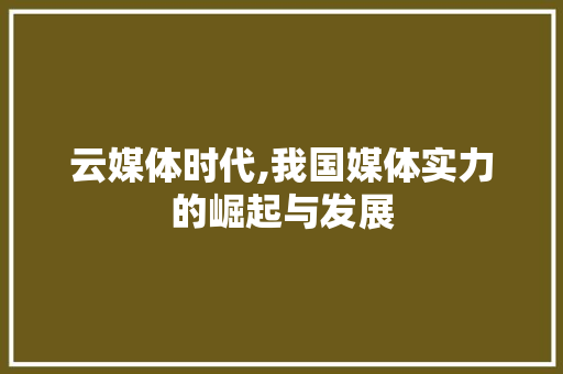 云媒体时代,我国媒体实力的崛起与发展 英文谷歌算法