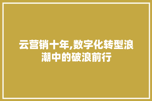 云营销十年,数字化转型浪潮中的破浪前行 AI技术学习