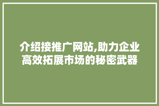 介绍接推广网站,助力企业高效拓展市场的秘密武器