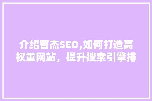 介绍曹杰SEO,如何打造高权重网站，提升搜索引擎排名 360搜优化