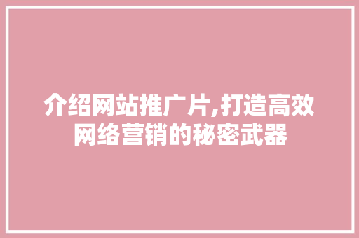 介绍网站推广片,打造高效网络营销的秘密武器