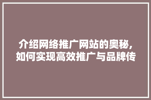 介绍网络推广网站的奥秘,如何实现高效推广与品牌传播 小程序开发