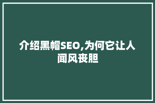 介绍黑帽SEO,为何它让人闻风丧胆
