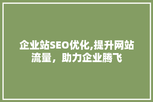 企业站SEO优化,提升网站流量，助力企业腾飞