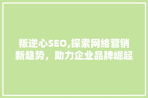叛逆心SEO,探索网络营销新趋势，助力企业品牌崛起 seo技术