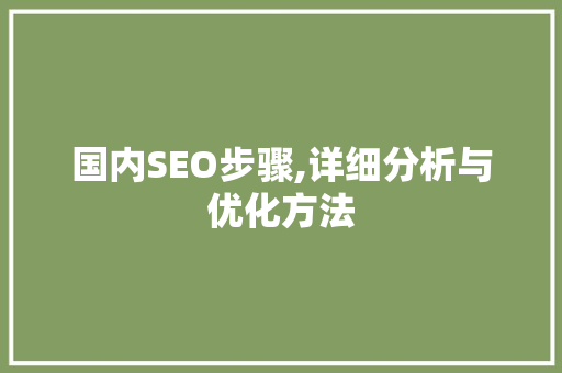 国内SEO步骤,详细分析与优化方法 360搜优化